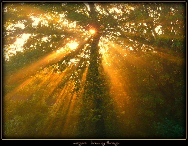 Солнце светит