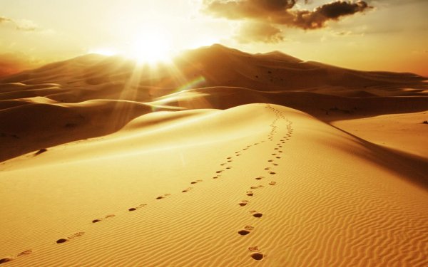 Солнце пустыня жара