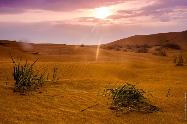 Рассвет в пустыне