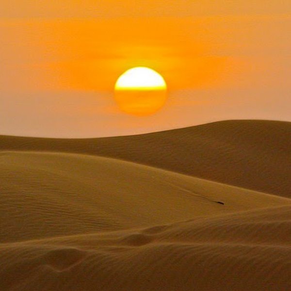 Солнце в пустыне