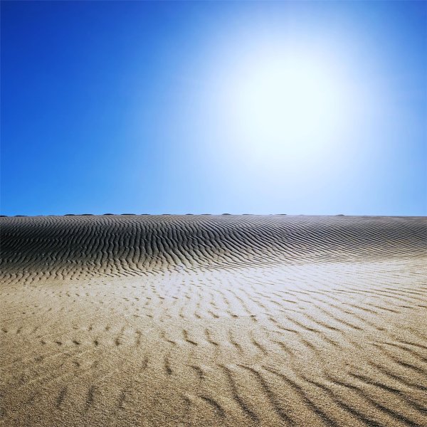 Солнце в пустыне