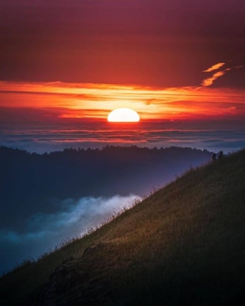 Заря солнца