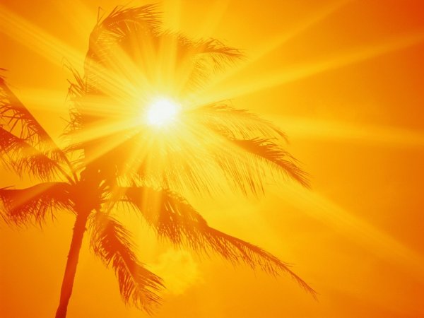 Яркое солнце