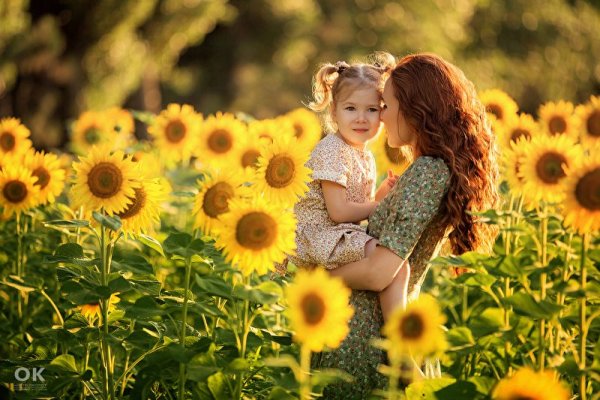 Фотосессия в подсолнухах семейная