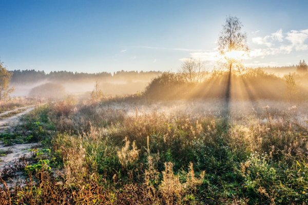 Утро солнце