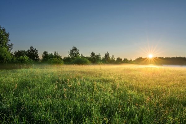 Утреннее солнце