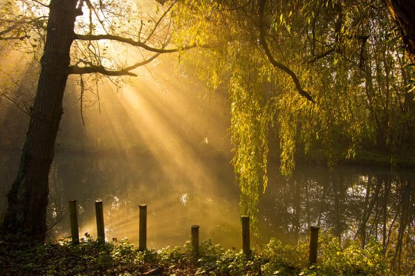 Лучи утреннего солнца