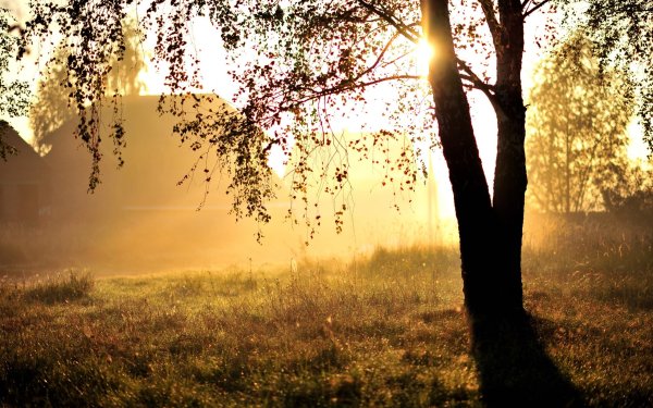 Утренний рассвет