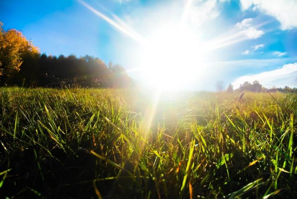 Лето солнце