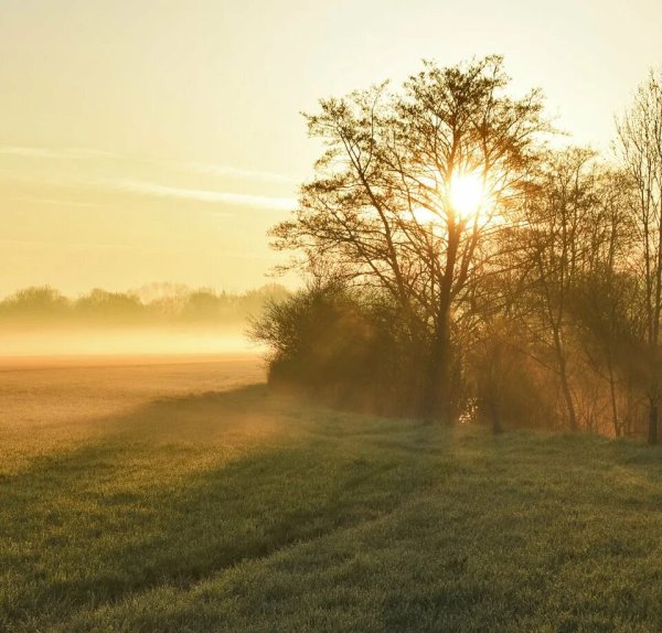 Солнечное утро