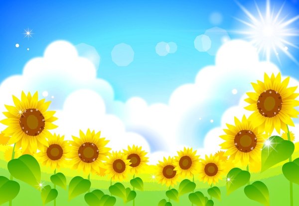 Фон солнышко