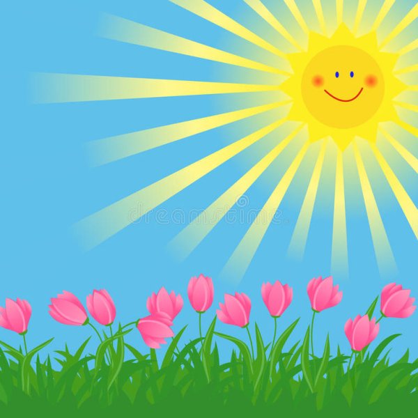 Солнечный круг небо вокруг