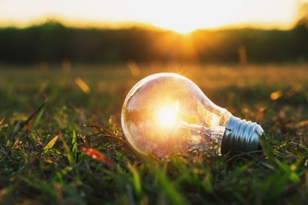 Лампа для природы