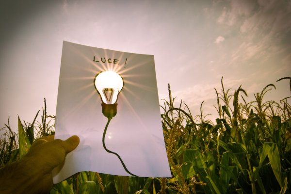 Лампочка для фотошопа