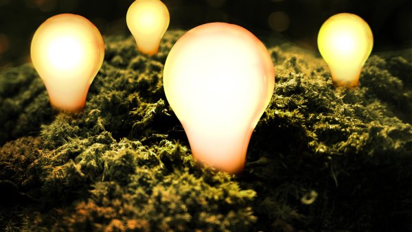 Электрическое освещение