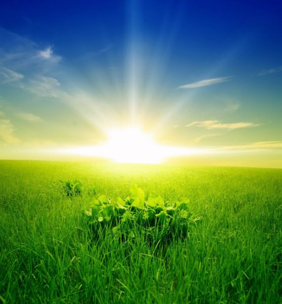 Свет солнца