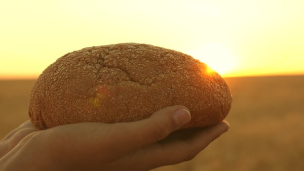 Круглый хлеб в руках