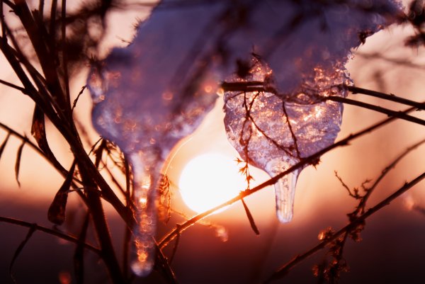 Мыльные пузыри на солнце