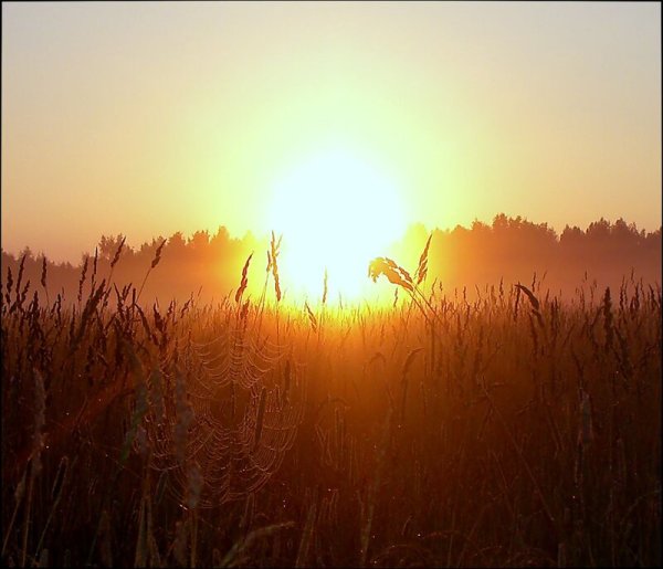 Солнце встает