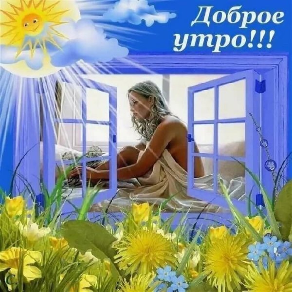 Доброе утро солнышко