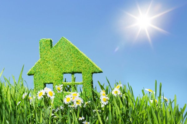 Раскраска Солнечный день