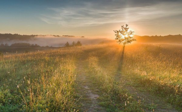 Рассвет поле деревня