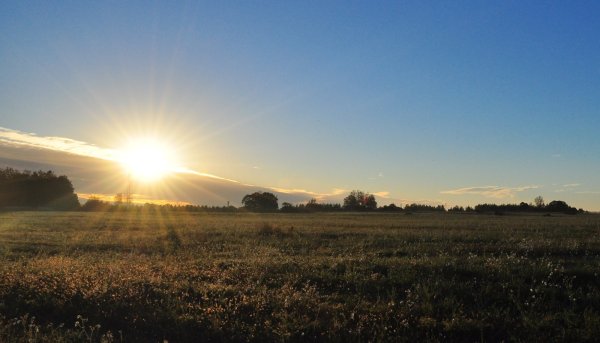 А С рассветом на село