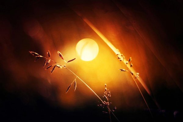 Закат солнца на войне