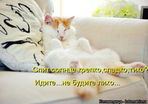 Волшебных снов