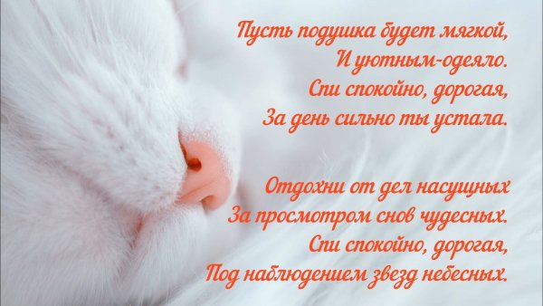 Пожелания спокойной ночи с луной и звездами