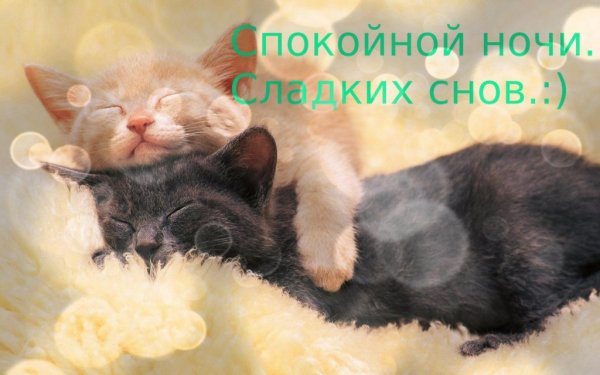 Пожелания доброй ночи в стихах