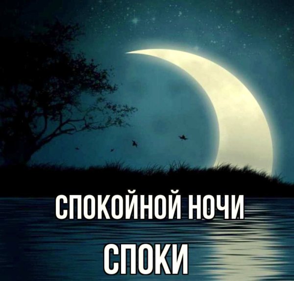 Пожелания доброй ночи