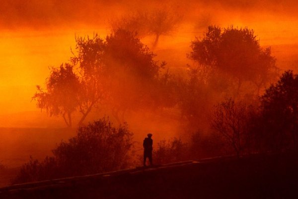 Война на фоне заката