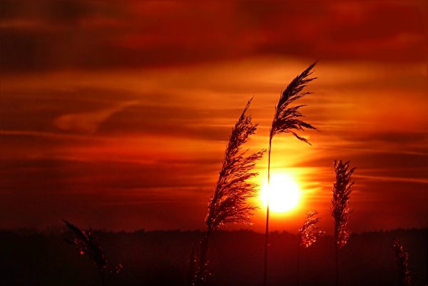 Солдат на фоне заката