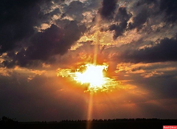 Природа после дождя