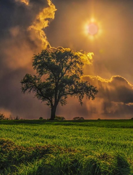 Солнце после грозы