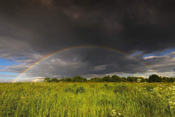 Летняя гроза