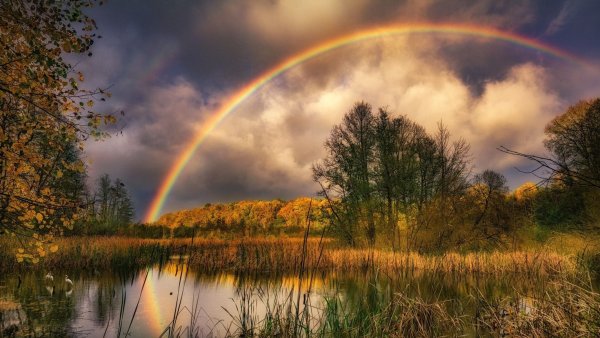 Река и Радуга