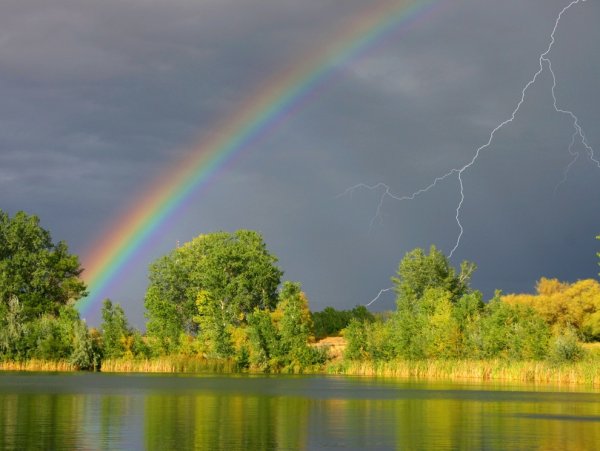 Фет дождливое лето