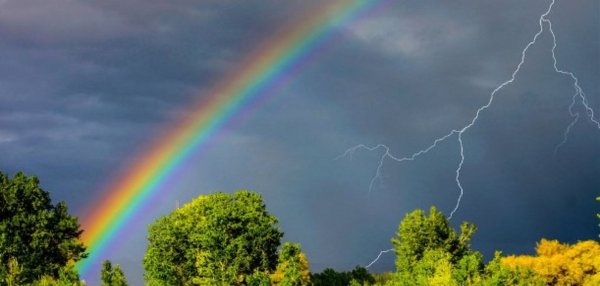 Молния в дерево