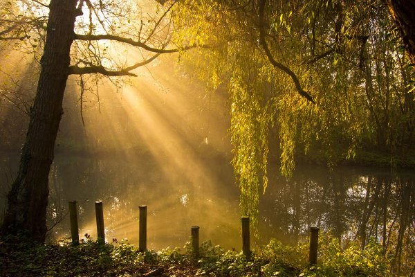 Лучи солнца