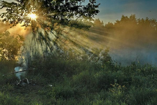 Утренний пейзаж