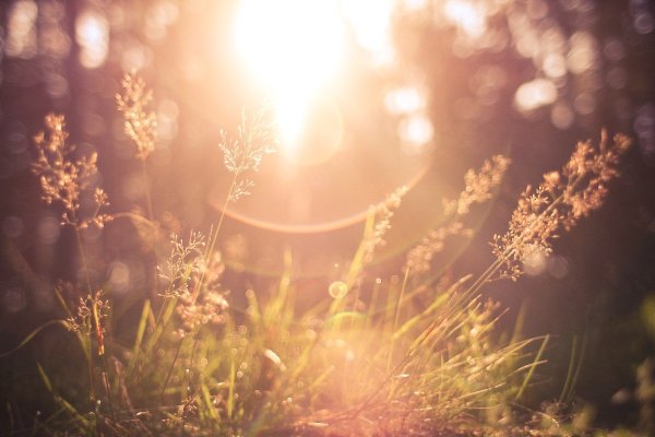 Лучи утреннего солнца