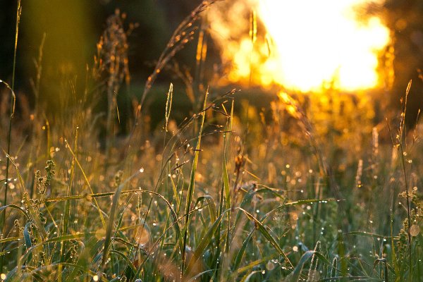 Природа лучи солнца