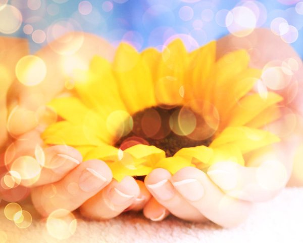 Счастье в ладонях