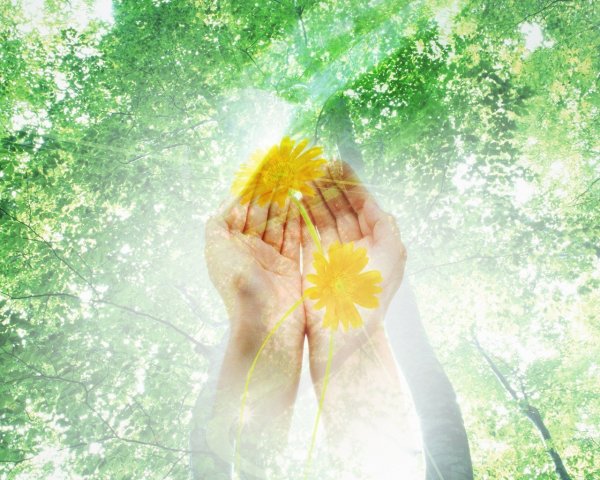 Лучик солнца в руках