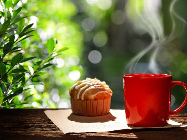 Чашка чая на природе