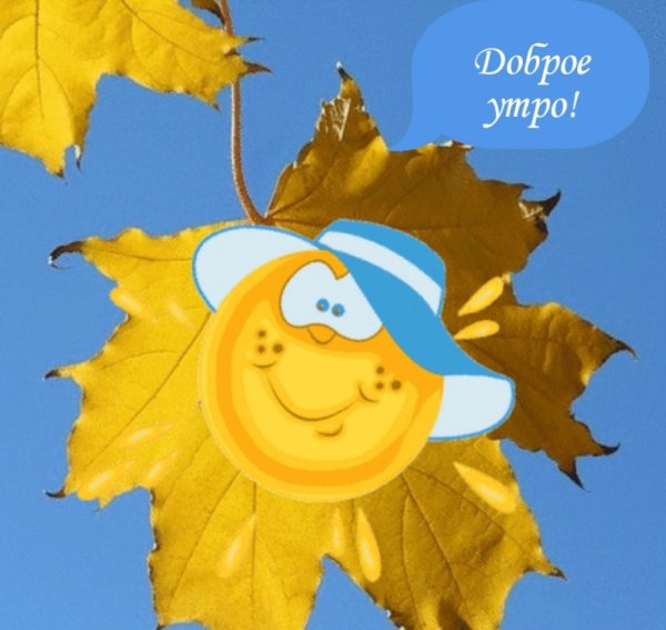 Доброе Майское утро