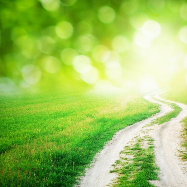 Тропинка к счастью