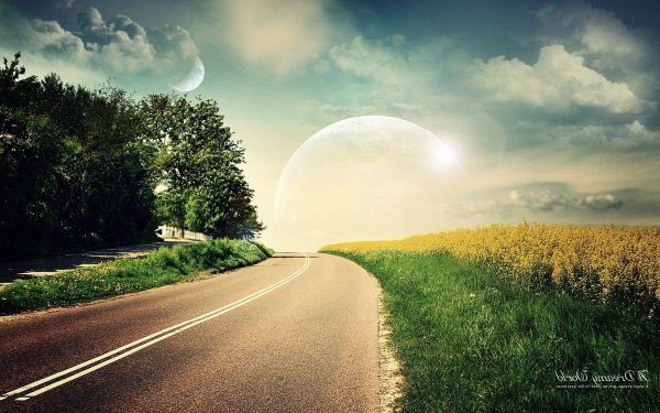 Светлая дорога